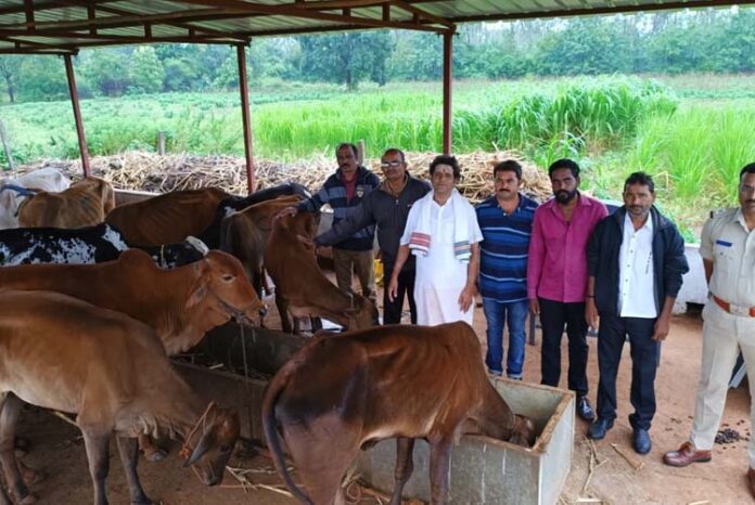 ಕಸಾಯಿಖಾನೆಗೆ ಅಕ್ರಮ ಗೋ ಸಾಗಾಟ: ಬಚ್ಚಿಟ್ಟ 16 ಗೋವುಗಳ ರಕ್ಷಣೆ