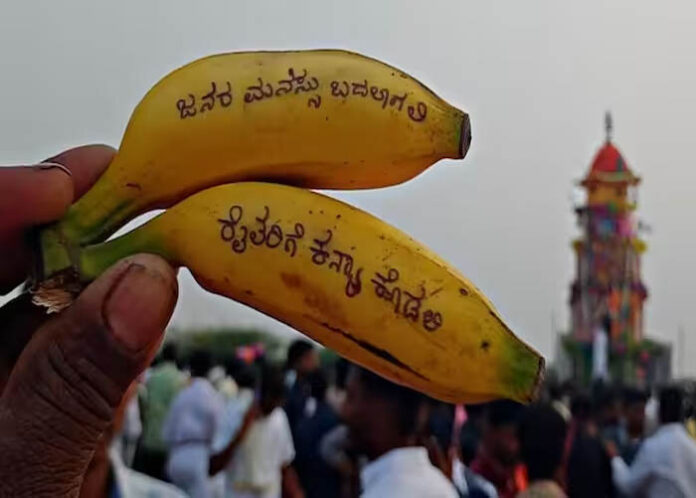 ರೈತರಿಗೆ ಕನ್ಯೆ ಕೊಡಲಿ, ಬಾಳೆಹಣ್ಣಿನ ಮೇಲೆ ಬರೆದು ರಥಕ್ಕೆ ಎಸೆದ ರೈತರು!