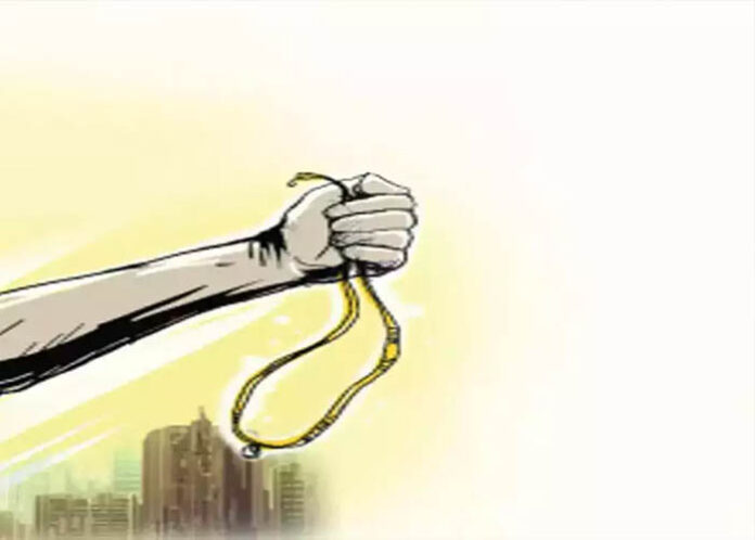 VIRAL VIDEO | ಅಜ್ಜಿ ಸರ ಕೀಳಲು ಬಂದಿದ್ದ ಖದೀಮನಿಗೆ ಬ್ಯಾಗ್‌ನಿಂದ ಹಿಗ್ಗಾಮುಗ್ಗ ಥಳಿಸಿ ಓಡಿಸಿದ 10ರ ಮೊಮ್ಮಗಳು!