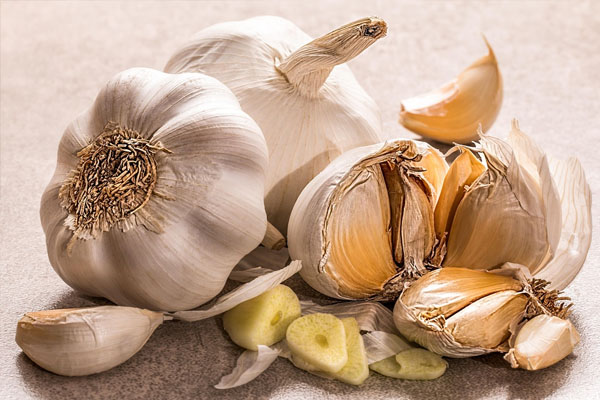 GARLIC