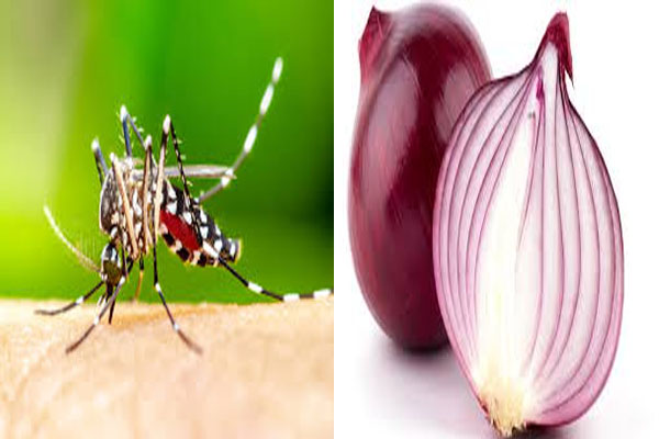 ONION