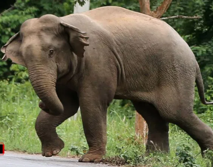 Screenshot 2025-10-31 171152