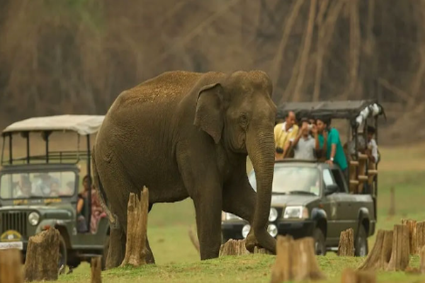 Screenshot 2025-10-31 200401