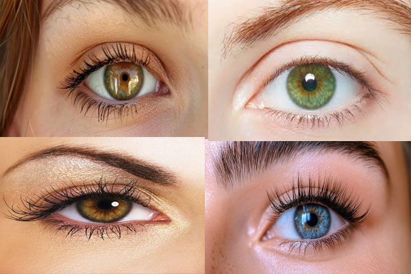 eyes