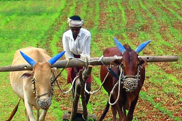 ಅನ್ನದಾತನ ಮೊಗದಲ್ಲಿ ಮಂದಹಾಸ: ಪಿಎಂ-ಕಿಸಾನ್ ಬಾಕಿ ಹಣ ಬಿಡುಗಡೆಗೆ ಕೇಂದ್ರ ಗ್ರೀನ್ ಸಿಗ್ನಲ್!