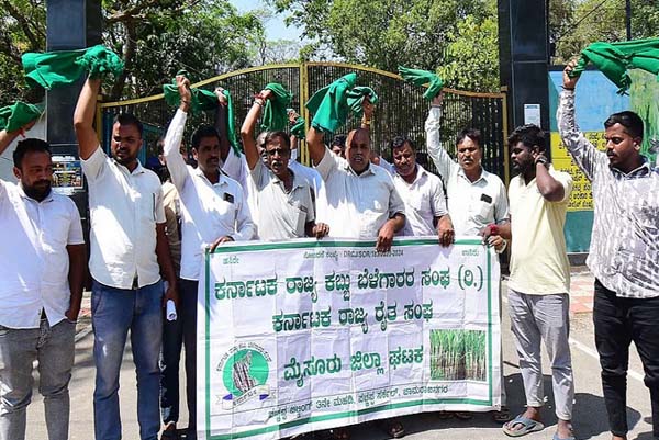 ಬಂಡೀಪುರ ಸಫಾರಿ ಮತ್ತೆ ಆರಂಭಿಸಿದ್ದಕ್ಕೆ ರೈತರ ಆಕ್ರೋಶ, ಪ್ರತಿಭಟನೆ