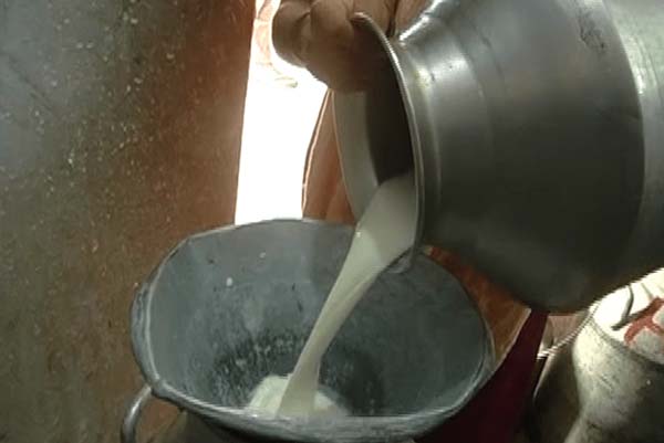 ಡೈರಿಯಲ್ಲೇ ಹಾಲು ಕಲಬೆರಿಕೆಯಾಯ್ತು, ಕುಡಿದವರಿಗೆಲ್ಲಾ ಕಿಡ್ನಿ ಡಮಾರ್‌?