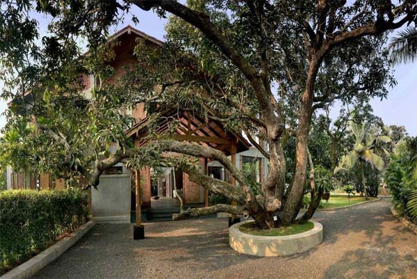 GREEN | ಮನೆಯ ಅಂದ, ಆರೋಗ್ಯ ಹೆಚ್ಚಿಸೋಕೆ ಮುಂದೆ ಮರಗಳು ಇರಲೇಬೇಕು