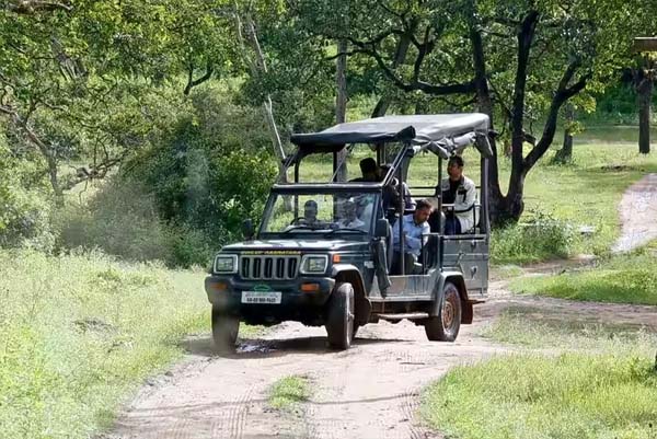 ನಾಗರಹೊಳೆ, ಬಂಡೀಪುರದಲ್ಲಿ ಸಫಾರಿಗೆ ಗ್ರೀನ್‌ ಸಿಗ್ನಲ್‌: ಹೋರಾಟ ಮಾಡ್ತೀವಿ ಎಂದ ರೈತರು