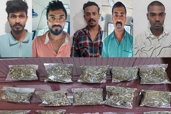 ಕೊಡಗು ಪೊಲೀಸರ ಕಾರ್ಯಾಚರಣೆ: ಮಾದಕ ವಸ್ತು ಅಕ್ರಮವಾಗಿ ಮಾರಾಟ ಮಾಡುತ್ತಿದ್ದ ಐವರ ಬಂಧನ