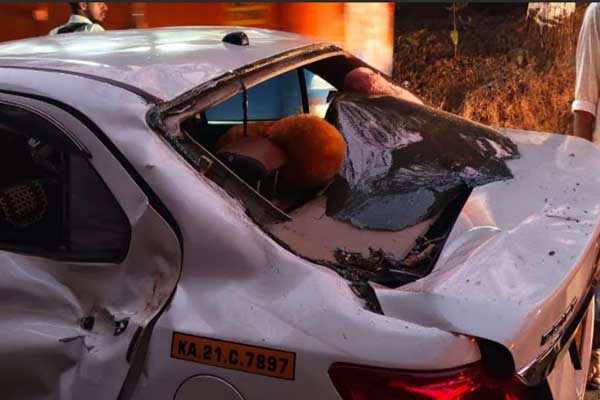 ಚಲಿಸುತ್ತಿದ ಕಾರಿನ ಮೇಲೆ ಉರುಳಿ ಬಿದ್ದ ಮರ: ಅಪಾಯದಿಂದ ಪಾರಾದ ಬ್ಯಾಂಕ್ ಸಿಬ್ಬಂದಿಗಳು!