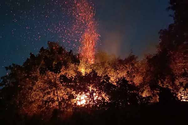 ಮುಂಡಾಜೆ- ಧರ್ಮಸ್ಥಳ ರಸ್ತೆ ಬಳಿ ಕಾಡ್ಗಿಚ್ಚು: ಅಗ್ನಿಶಾಮಕ ದಳ ಸಿಬ್ಬಂದಿ ದೌಡು