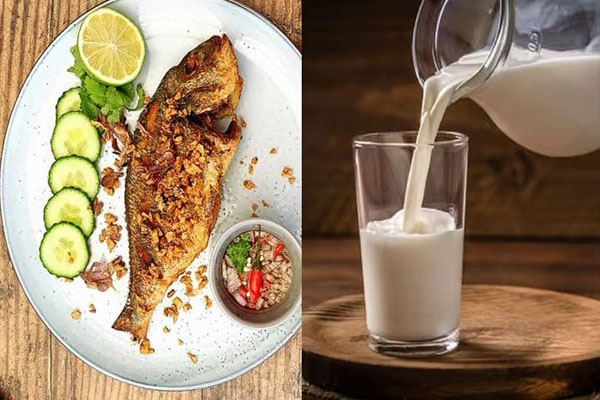 Why So | ಮೀನು, ಚಿಕನ್ ತಿನ್ನೋವಾಗ ಒಟ್ಟಿಗೆ ಹಾಲು ಕುಡಿಬಾರ್ದು ಅಂತಾರೆ ಯಾಕೆ ಇರ್ಬಹುದು?