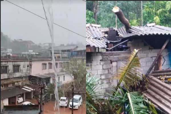 ಸುಳ್ಯ ತಾಲೂಕಿನಲ್ಲಿ ಗುಡುಗು, ಗಾಳಿ ಸಹಿತ ಬಿರುಸಿನ ಮಳೆ: ಮನೆ ಮೇಲೆ ಉರುಳಿದ ಮರ