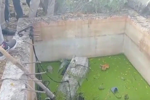 ಸೆಪ್ಟಿಕ್ ಟ್ಯಾಂಕ್‌ನಲ್ಲಿತ್ತೊಂದು ಟ್ರಂಕ್…ಅದ್ರೊಳಗಿತ್ತು ಮಹಿಳೆಯ ಶವ! ಏನಿದು ಪ್ರಕರಣ