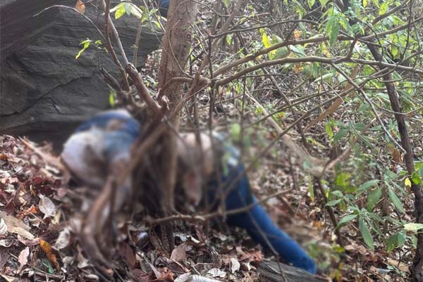 ಜೇನುಕಲ್ಲು ಗುಡ್ಡದ ಮೇಲಿನಿಂದ ಜಿಗಿದು ಧಾರವಾಡದ ವ್ಯಕ್ತಿ ಆತ್ಮ*ಹತ್ಯೆ