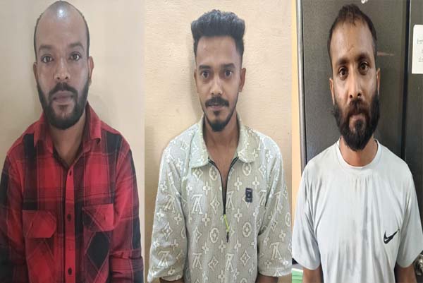 ಕಾಫಿ, ಕರಿಮೆಣಸು, ವಾಹನ, ಜಾನುವಾರು.. ಎಲ್ಲವನ್ನೂ ಕದ್ದ ಕಳ್ಳರು ಅರೆಸ್ಟ್‌