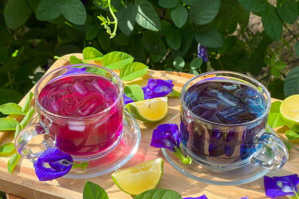 Butterfly Pea | ಶಂಖ ಪುಷ್ಪ ಹೂವಿನ ಚಹಾದ ಆರೋಗ್ಯ ಪ್ರಯೋಜನ ಗೊತ್ತಾದ್ರೆ ಇವತ್ತಿನಿಂದ್ಲೇ ಟೀ ಕುಡಿಯೋಕೆ ಶುರು ಮಾಡ್ತೀರ