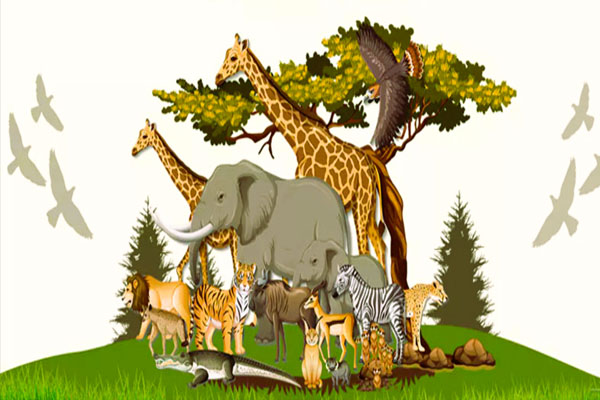 World Wildlife Day | ವಿಶ್ವ ವನ್ಯಜೀವಿ ದಿನ: ಅವುಗಳಿಗೂ ನಮ್ಮಂತೆ ಬದುಕುವ ಹಕ್ಕಿದೆ