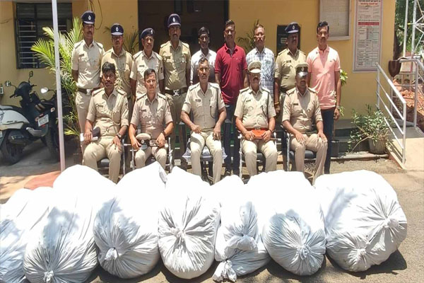 ಕೃಷಿ ಜಮೀನಿನಲ್ಲಿ ಅಕ್ರಮ ಗಾಂಜಾ ಬೆಳೆ: 18 ಲಕ್ಷ ರೂ. ಮೌಲ್ಯದ ಹಸಿ ಗಾಂಜಾ ಗಿಡ ವಶ