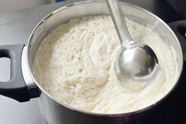 Why So | ಬೇಸಿಗೆಯಲ್ಲಿ ಹುದುಗಿಸಿದ ಆಹಾರಗಳನ್ನು ಹೆಚ್ಚಾಗಿ ಸೇವಿಸಬಾರ್ದು ಅಂತಾರಲ್ಲ ಯಾಕೆ?