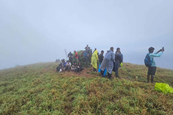 The Art of Baking: From Classic Bread to Artisan Pastries