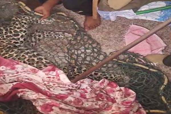 ಚಿರತೆಯಿಂದ ತನ್ನ ಅತ್ತೆಯನ್ನು ಕಾಪಾಡಿದ ಬಹದ್ದೂರ್‌ ಸೊಸೆಗೆ ಕಿತ್ತೂರು ರಾಣಿ ಚೆನ್ನಮ್ಮ ಪ್ರಶಸ್ತಿ