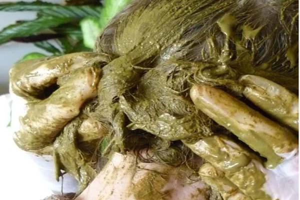 HAIRCARE | ದೇಹ ತಂಪಾಗೋಕೆ, ಬಿಳಿಕೂದಲನ್ನು ಓಡಿಸೋಕೆ ತಲೆಗೆ ಮೆಹೆಂದಿ ಹಚ್ಚಿ, ಹೇಗೆ ಗೊತ್ತಾ?