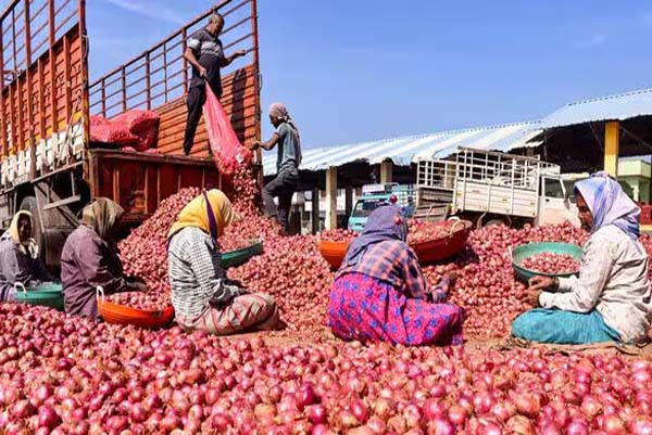 ವಾರ್‌ ಎಫೆಕ್ಟ್‌ನಿಂದ ಸ್ವತಃ ಕಣ್ಣೀರು ಹಾಕಿದ ಈರುಳ್ಳಿ, ಬೆಲೆ ಪಾತಾಳಕ್ಕೆ ಕುಸಿತ