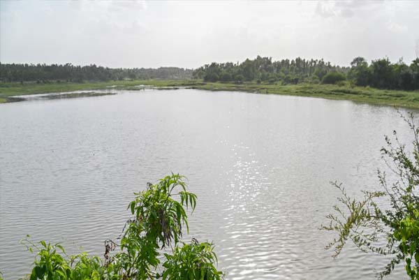 SHOCKING | ಮಾಗಡಿ ಕೆರೆಯಲ್ಲಿ ತೇಲುತ್ತಿತ್ತು ಕಂದಮ್ಮನ ಮೃತದೇಹ, ಬೆಚ್ಚಿಬಿದ್ದ ಜನ