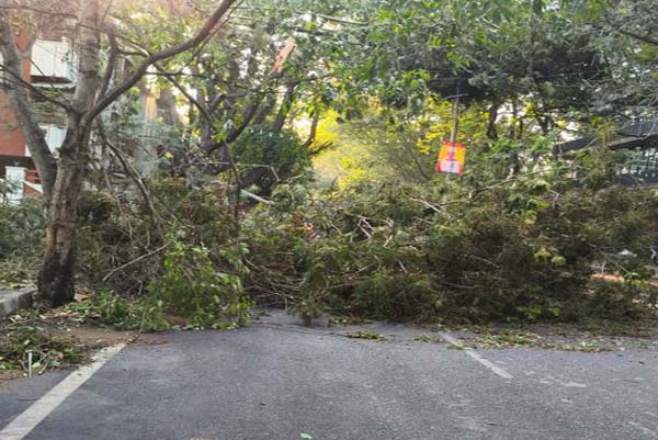 ಬೆಂಗಳೂರಿಗರೇ ಇಂದು ಈ ರಸ್ತೆಯಲ್ಲಿ ಓಡಾಡಿಲ್ಲ ಅಂದ್ರೆ ನಿಮಗೇ ಒಳ್ಳೆಯದು! ಸಂಚಾರ ಪೊಲೀಸರಿಂದ ಮಾಹಿತಿ