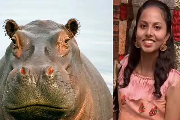 ಡಾ. ಸಮೀಕ್ಷಾ ರೆಡ್ಡಿಯ ಸಾವಿಗೆ ಕಾರಣವಾಗಿದ್ದ ನೀರಾನೆಯ ಮರಿಯೂ ಗರ್ಭದಲ್ಲೇ ಸಾವು