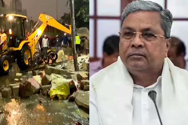 The Art of Baking: From Classic Bread to Artisan Pastries