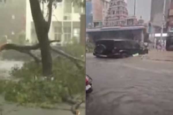 ಬೆಂಗಳೂರಿನಲ್ಲಿ ಬಿರುಗಾಳಿ ಸಹಿತ ಆಲಿಕಲ್ಲು ಮಳೆ: ಧರೆಗೆ ಉರುಳಿದ ಮರಗಳು, ಕಾರು- ಬೈಕ್ ಗಳು ಜಖಂ!