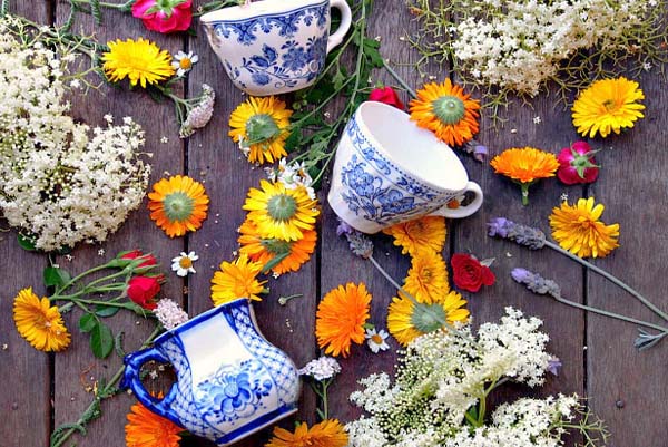 TEA | ಹೂವುಗಳಲ್ಲಿದೆ ಆರೋಗ್ಯದ ರಹಸ್ಯ: ಯಾವ ಕಾಯಿಲೆಗೆ ಯಾವ ಹೂವಿನ ಟೀ ರಾಮಬಾಣ ಗೊತ್ತಾ?