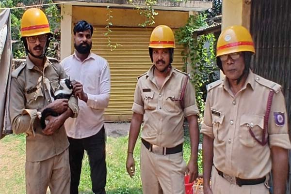 ನೆತ್ತಿ ಸುಡುವ ಬಿಸಲ ಬೇಗೆ ಲೆಕ್ಕಿಸದೆ ಮಾರ್ಜಾಲ ರಕ್ಷಣೆಗೆ ಬಾವಿಗಿಳಿದ ಅಗ್ನಿ ಶಾಮಕ ಪಡೆ!