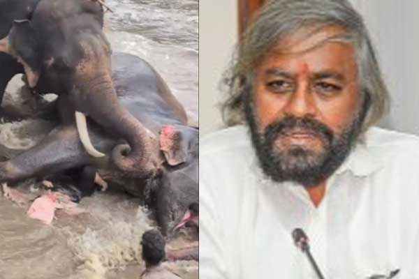 ದುಬಾರೆಯಲ್ಲಿ ಆನೆಗಳ ಕಾದಾಟದ ವೇಳೆ ಮಹಿಳೆ ಸಾವು: ಪ್ರಾಣಿಗಳಿಂದ ನಿರ್ದಿಷ್ಟ ಅಂತರ ಕಾಯ್ದುಕೊಳ್ಳಲು ಸಚಿವ ಖಂಡ್ರೆ ಸೂಚನೆ