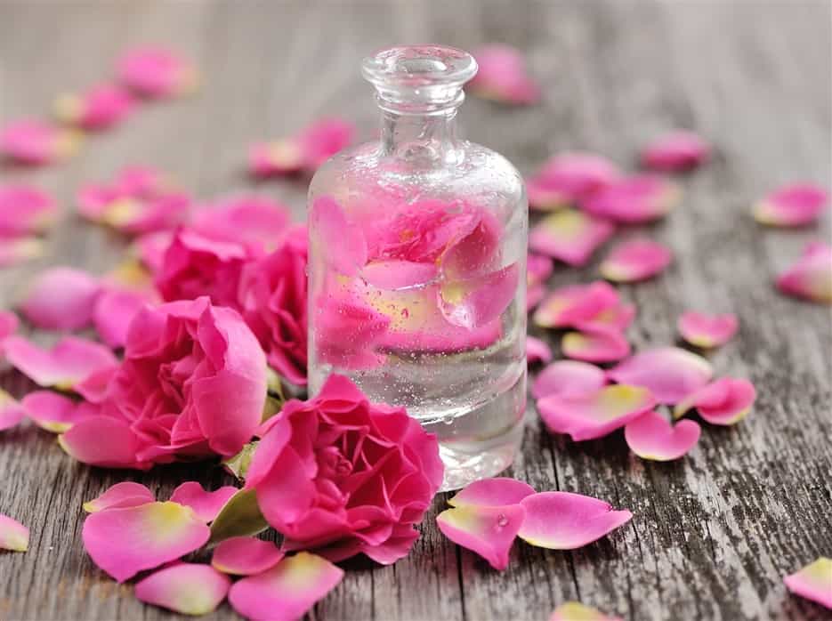Beauty Tips | ಮುಖದ ಕಾಂತಿ ಹೆಚ್ಚಿಸಿ, ಸನ್ ಟ್ಯಾನ್ ಹೋಗಲಾಡಿಸಲು ಬಳಸಿ ‘ರೋಸ್ ವಾಟರ್’!