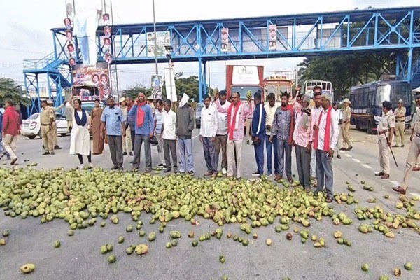 ಮಾವು ಬೆಲೆ ಪಾತಾಳಕ್ಕೆ: ಬೆಂಬಲ ಬೆಲೆಗೆ ಆಗ್ರಹಿಸಿ ಕೋಲಾರ ಬಂದ್, ರಸ್ತೆಗೆ ಟನ್ ಗಟ್ಟಲೆ ಮಾವು ಸುರಿದು ರೈತರ ಆಕ್ರೋಶ!