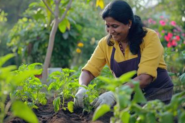 Life Style | ಕಡಿಮೆ ಖರ್ಚಿನಲ್ಲಿ ‘ಹಸಿರು ಮನೆ’: ಪರಿಸರ ಸ್ನೇಹಿ ಜೀವನಶೈಲಿಗೆ ಇಲ್ಲಿದೆ ಸಿಂಪಲ್ ಸೂತ್ರ!