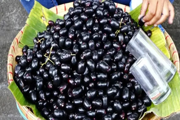 SUPER FOOD | ಆರೋಗ್ಯದ ಸಂಜೀವಿನಿ ‘ನೇರಳೆ ಹಣ್ಣು’: ಮಧುಮೇಹ ಸೇರಿದಂತೆ ಹತ್ತಾರು ಕಾಯಿಲೆಗಳಿಗೆ ರಾಮಬಾಣ