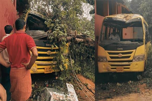 ಬಂಟ್ವಾಳದಲ್ಲಿ ಭೀಕರ ದುರಂತ: ಶಾಲಾ ಬಸ್ ಮೇಲೆ ಬೃಹತ್ ಮರ ಉರುಳಿ ಆರು ವರ್ಷದ ವಿದ್ಯಾರ್ಥಿನಿ ಸಾ*ವು