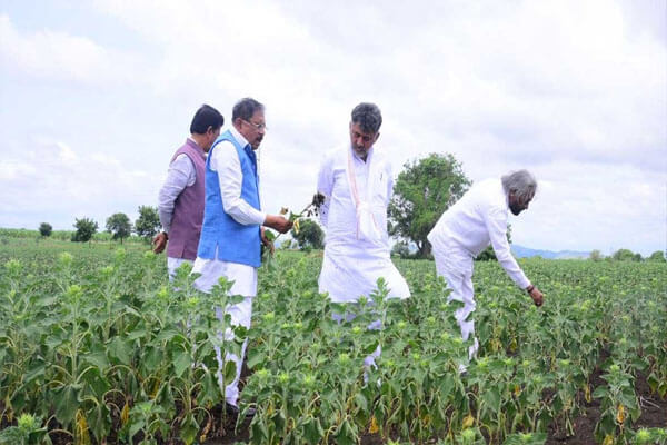 ಬರದ ಬವಣೆಗೆ ಸರ್ಕಾರದ ಸ್ಪಂದನೆ: ಹಿರಿಯೂರಿನಲ್ಲಿ ಬೆಳೆ ಹಾನಿ ಪರಿಶೀಲಿಸಿದ ಸಿಎಂ