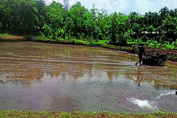 ದಕ್ಷಿಣ ಕನ್ನಡ–ಉಡುಪಿ ಜಿಲ್ಲೆಗಳಲ್ಲಿ ಮುಂಗಾರು ದುರ್ಬಲ: 39% ಮಳೆ ಕೊರತೆಯಿಂದ ಸಂಕಷ್ಟದಲ್ಲಿದೆ ಕೃಷಿ ಕ್ಷೇತ್ರ