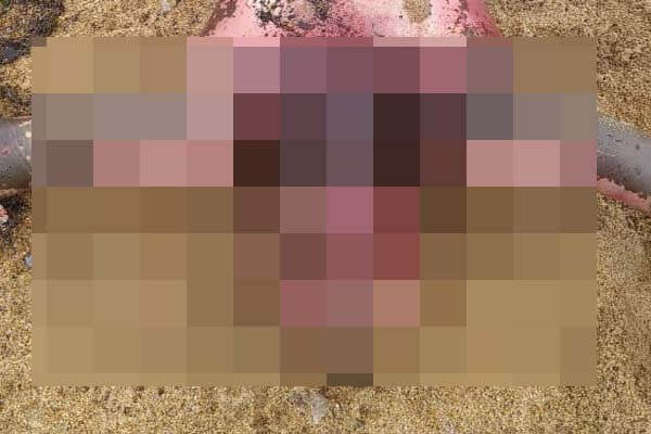 ಉಳ್ಳಾಲ ಕೊಳೆತ ಶವ ಪತ್ತೆ ಪ್ರಕರಣಕ್ಕೆ ಮೇಜರ್ ಟ್ವಿಸ್ಟ್: ಬರ್ಬರವಾಗಿ ಕೊ*ಲೆಗೈದು ಸಮುದ್ರಕ್ಕೆ ಎಸೆದಿರುವ ಶಂಕೆ!