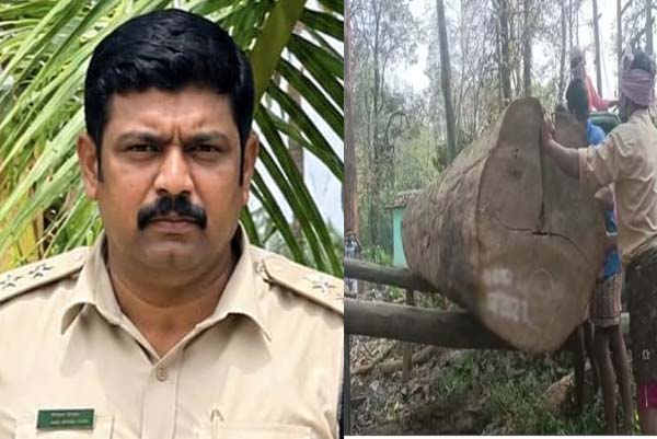 ಲಂಚ ಪಡೆದು ತೇಗದ ಮರ ಕಡಿದು ಸಾಗಿಸಲು ಪರ್ಮಿಷನ್‌: ಡಿಆರ್‌ಎಫ್‌ಒ ರಾಜಶೇಖರಯ್ಯ ಲೋಕಾ ಬಲೆಗೆ