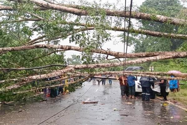ಗಾಳಿ ಮಳೆಗೆ ನಲುಗಿದ ಪುತ್ತೂರು: ಮಾಣಿ–ಮೈಸೂರು ಹೆದ್ದಾರಿಯಲ್ಲಿ ಮರ ಉರುಳಿ ವಾಹನ ಸಂಚಾರ ಅಸ್ತವ್ಯಸ್ತ