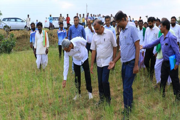 ಬರ ಪರಿಶೀಲನೆಗೆ ಕೇಂದ್ರ ತಂಡ: 12 ಜಿಲ್ಲೆಗಳಲ್ಲಿ ಅಕ್ಟೋಬರ್ 6ರವರೆಗೆ ಸಮೀಕ್ಷೆ